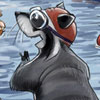Racoon Racoon