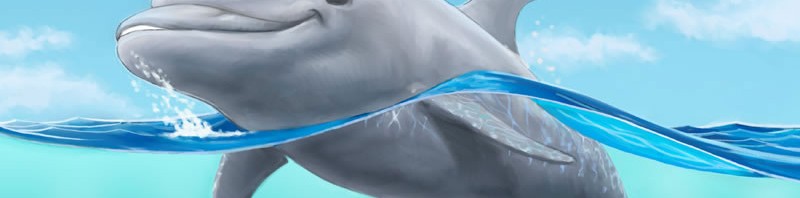 For those of you that like dolphins
